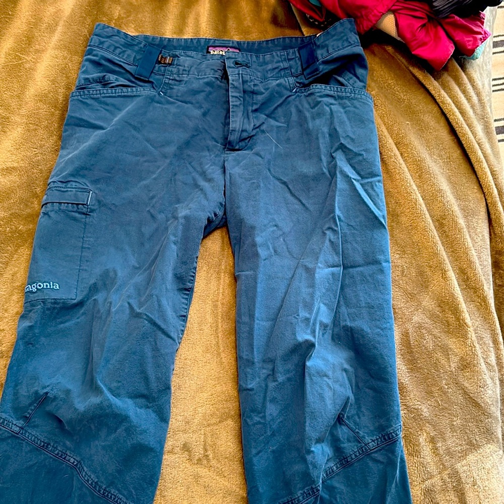 Patagonia Blue Cargo Pants